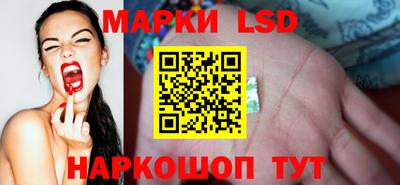 шишки Балашиха