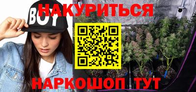 шишки Балашиха