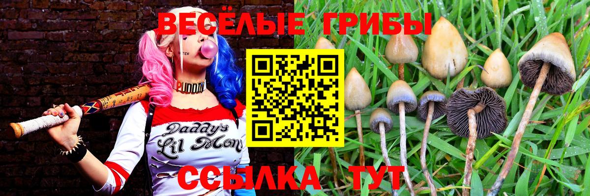 Псилоцибиновые грибы ЛСД  Псилоцибиновые грибы Psilocybine cubensis  Вход с VPN  где купить наркотик  Дедовск 